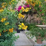Piero's * Carbonia