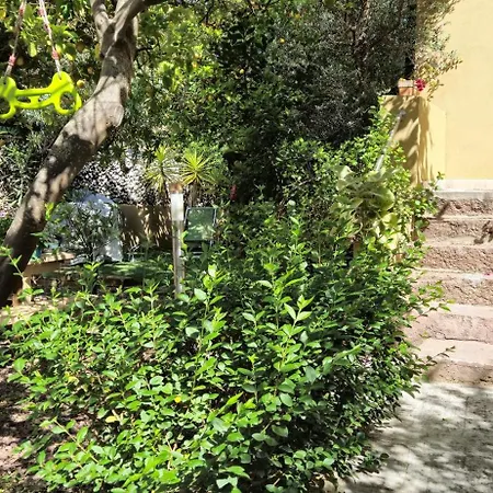 Piero's * Carbonia