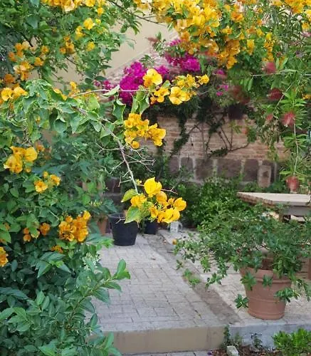 Piero's * 卡尔博尼亚