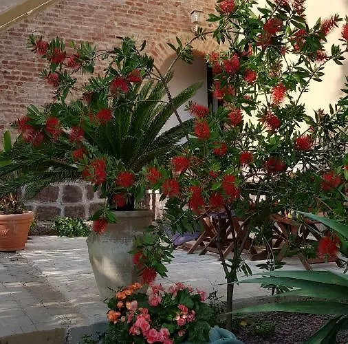 公寓 Piero's 卡尔博尼亚